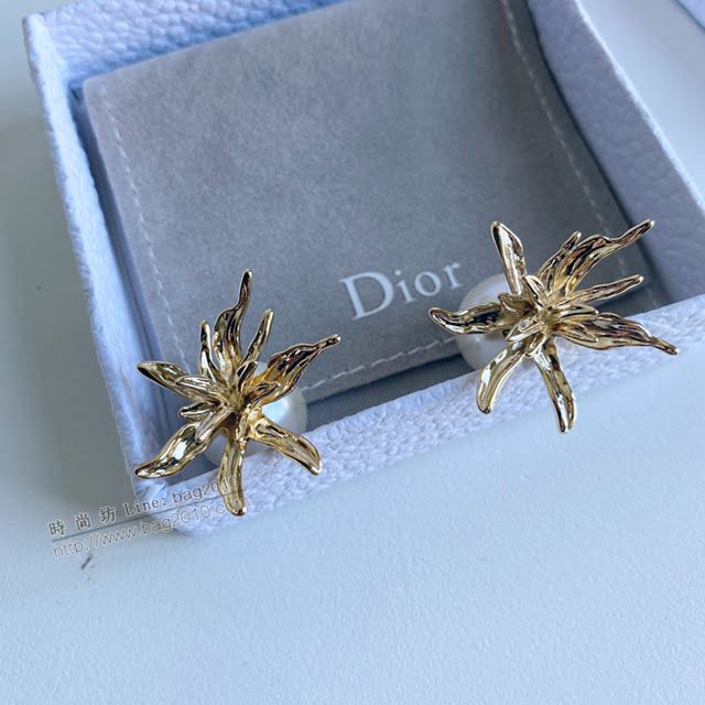 Dior飾品 2021新款DIOR迪奧樹葉耳釘耳環  zgd1379
